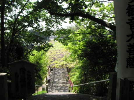 画像20